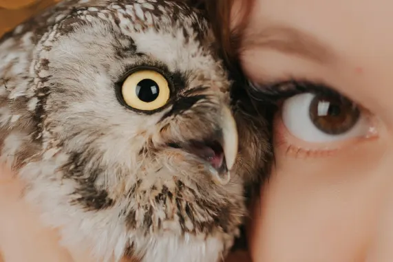 MatchUp Casino Stuðningur